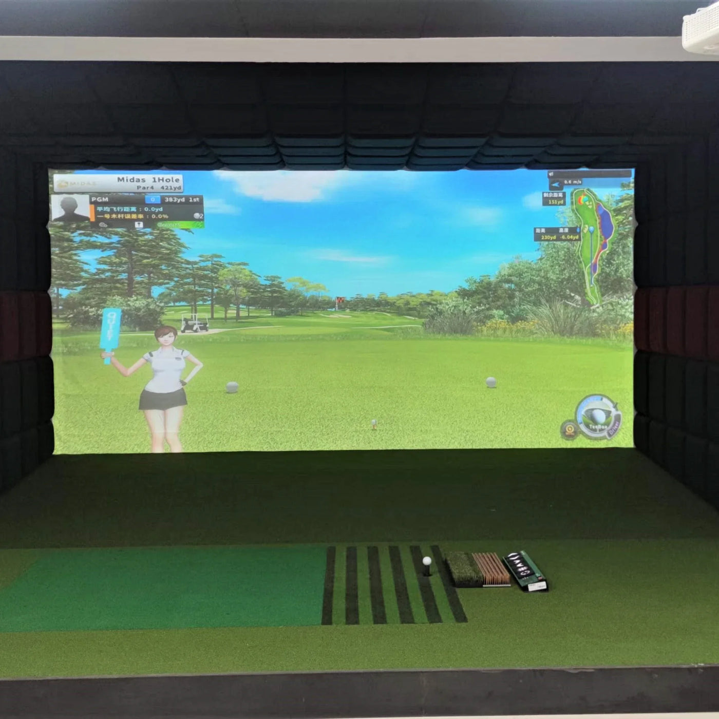 Professional Indoor Golf Simulator – 3D Virtual System for Home Use