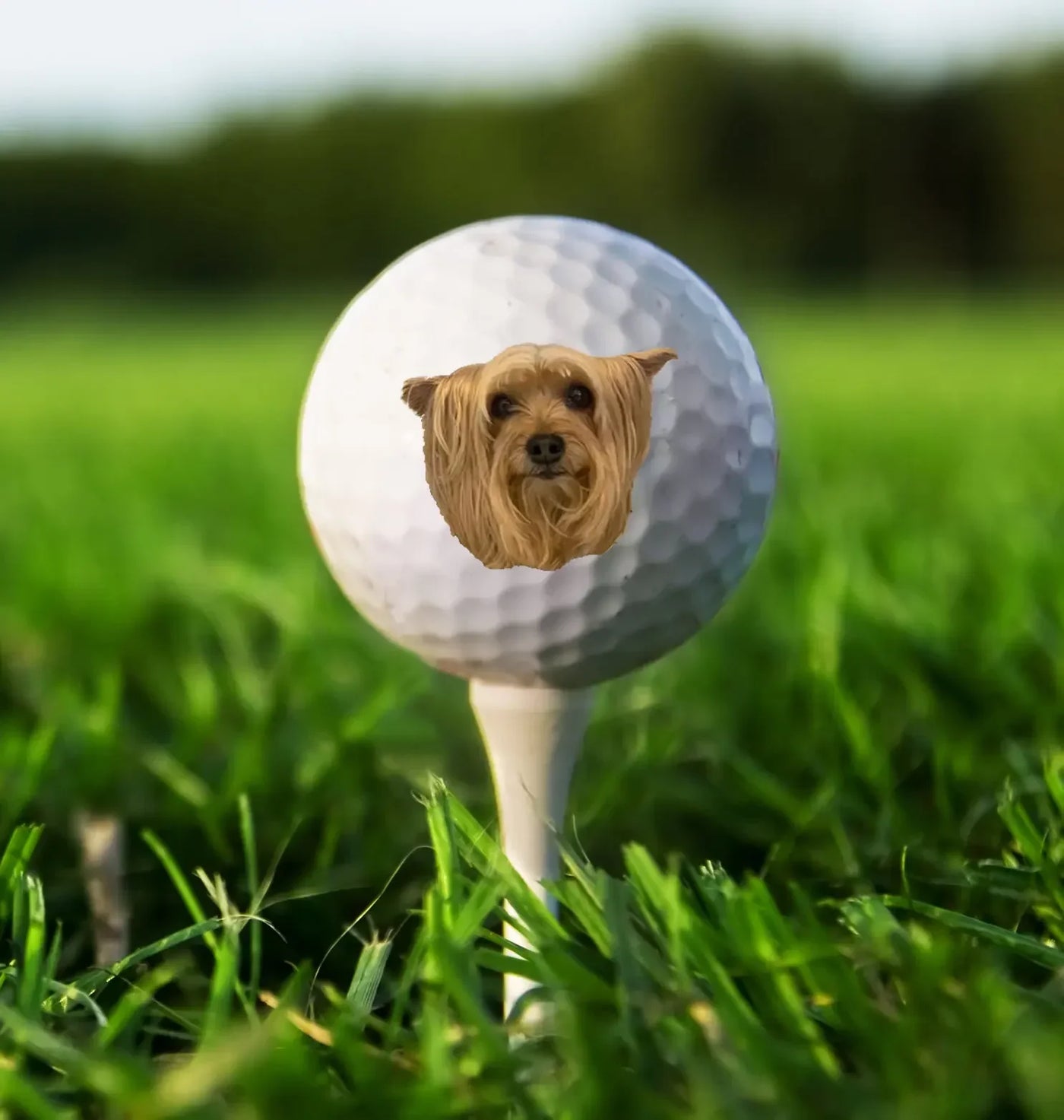Custom Photo Golf Balls - Personalized Gift for Golfers, Dad, Groomsmen & Sports Enthusiasts